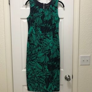 Enfocus studio dress. Leaf print size 6